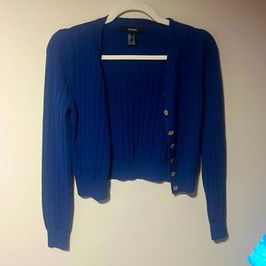 Blue Cardigan